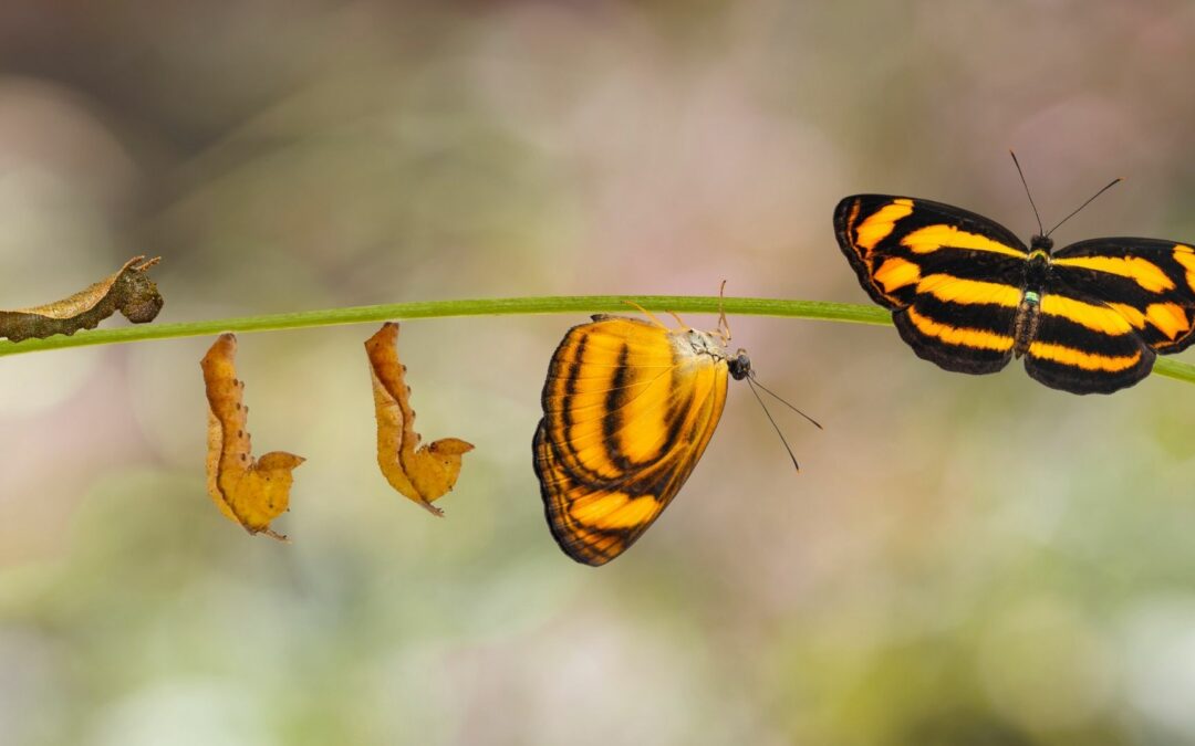 How to Handle Unexpected Changes
