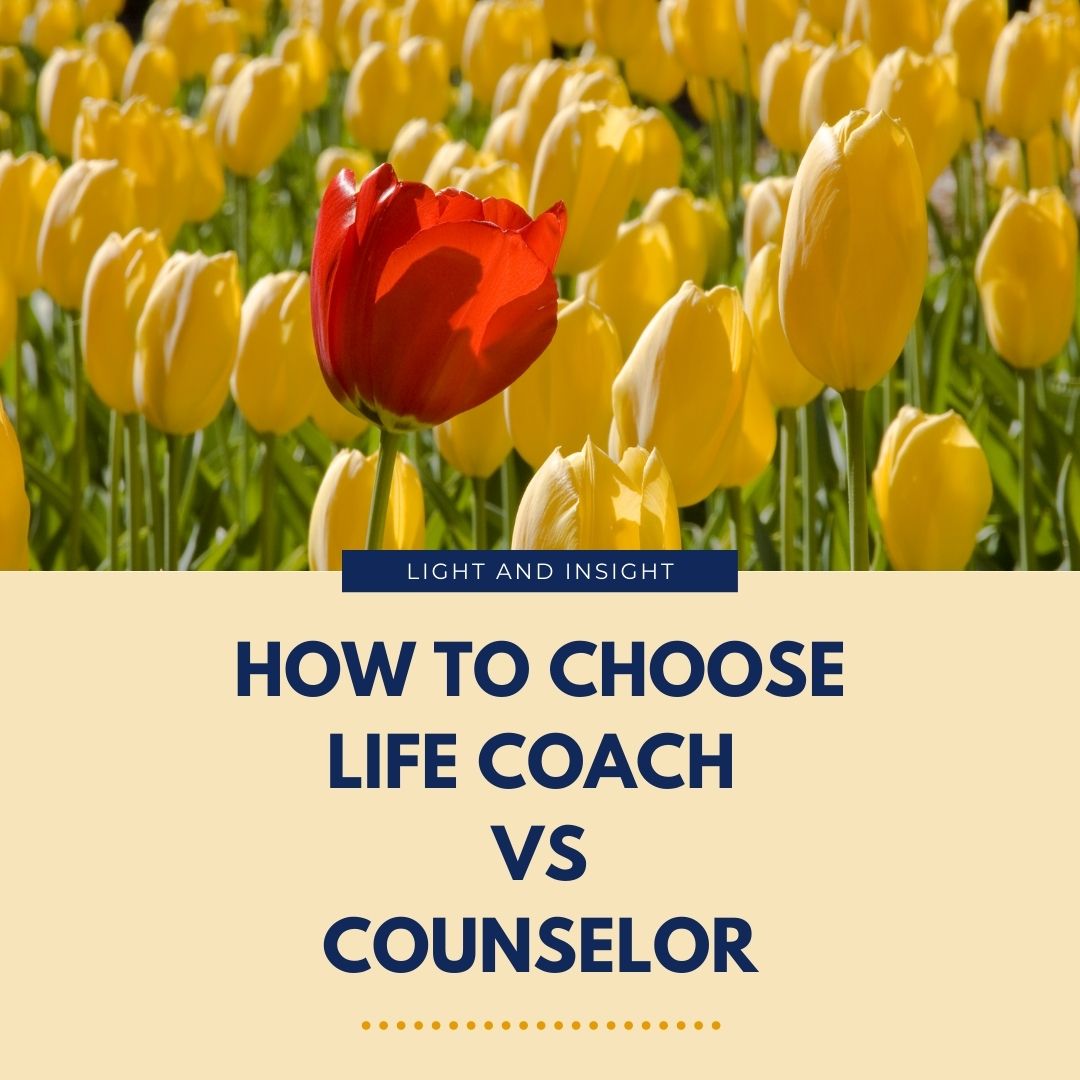 How to Choose Life Coach vs. Counselor Article