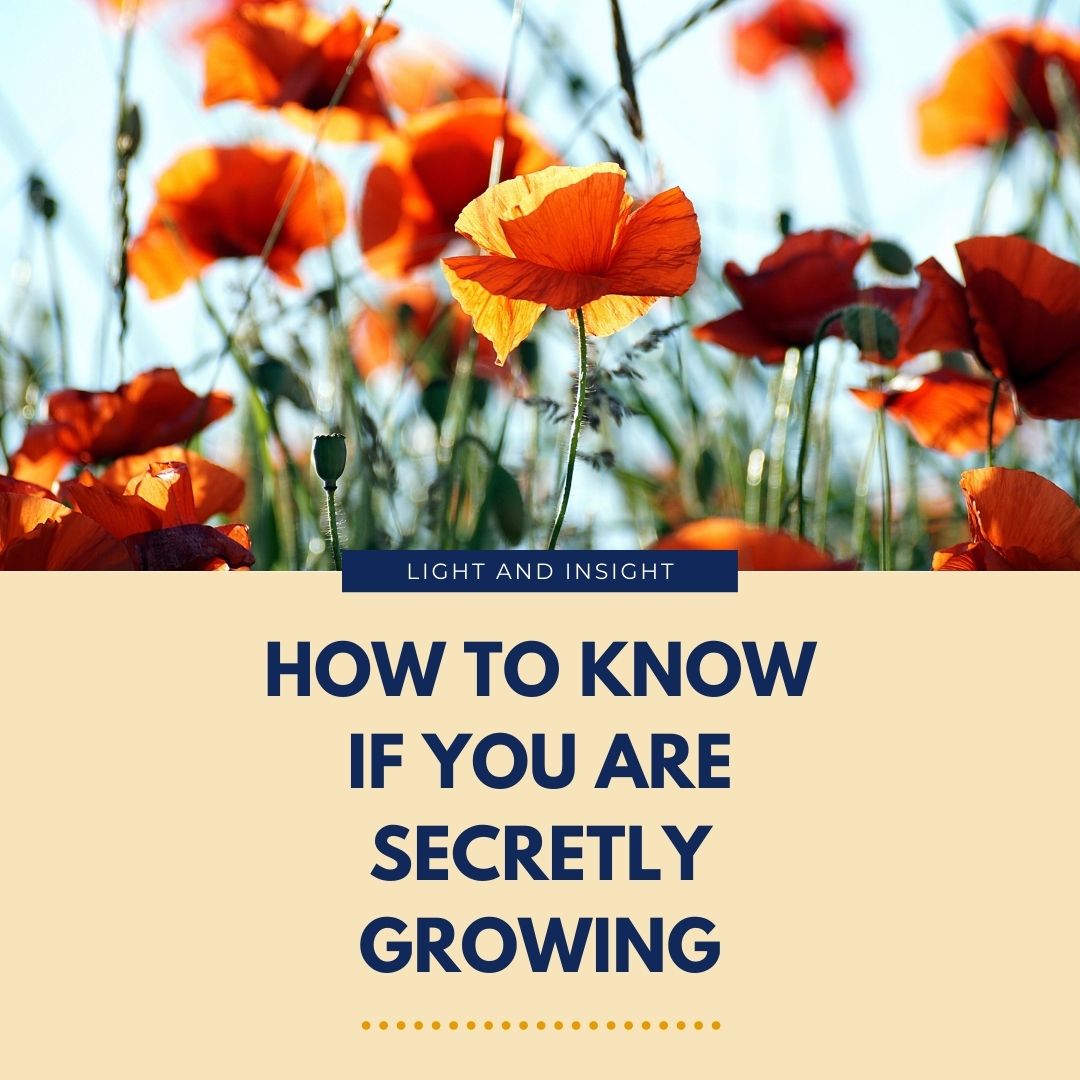 How to Know If You Are Secretly Growing Article